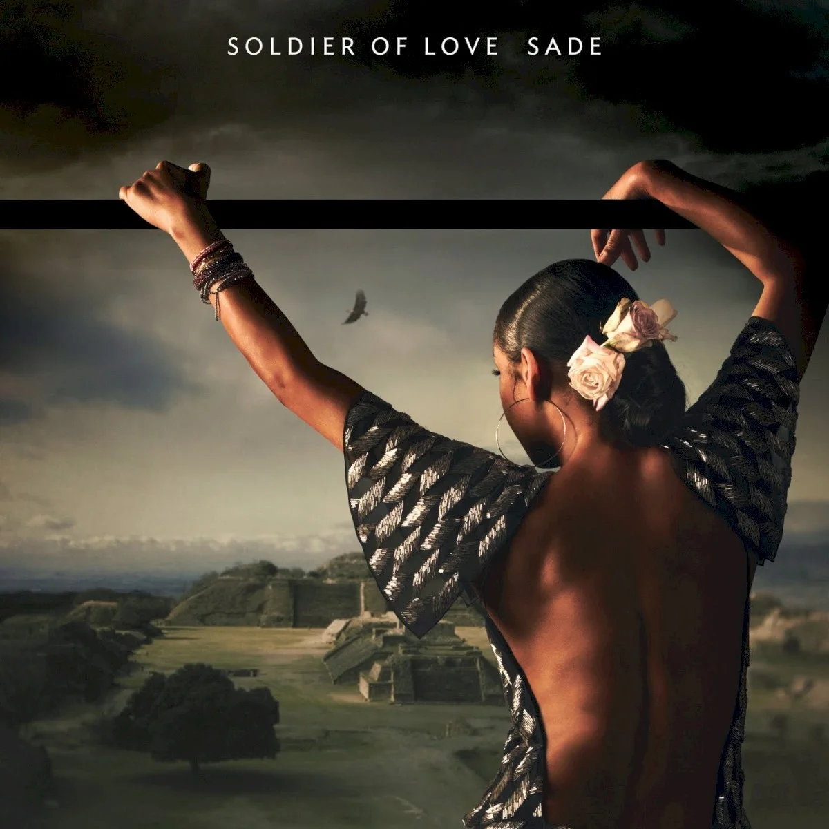 Carátula de Soldier of Love